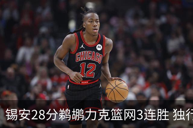 锡安28分鹈鹕力克篮网3连胜 独行侠险胜马刺